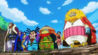 One Piece – Sa, 17.08., 04:55 Uhr