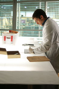CSI: Miami – CSI: Miami (2005)