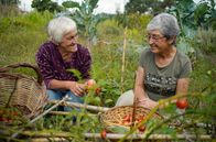 Zu Tisch ... – Margarida Monteiro (li.) und Eduarda Barbosa (re.) in ihrem Garten für Permakultur