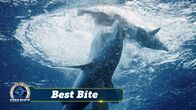 Das Turnier der Haie – Wird ein Außenseiter die berüchtigte weiße Bestie besiegen und den Sieg davontragen? (National Geographic)