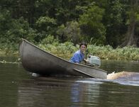 Der Gesang der Flusskrebse – Das Marschland an der Küste von North Carolina ist für die junge Kya (Daisy Edgar-Jones) der ideale Rückzugsort für ihre Naturstudien.