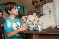 Mia und der weiße Löwe – Mick Owen (Ryan Mac Lennan)