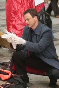 CSI: NY – CSI: NY (2010)