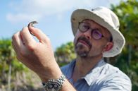 Tierische (R)Evolution – Auf den Turks- und Caicosinseln führt Anthony Herrel eine Grundlagenstudie mit Echsen durch.