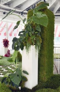 Im Rausch der Blumen – Blumeninstallation „Whispers of Eden” von Anatomie Fleur im Café Kranzler in Berlin