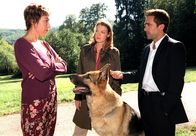 Kommissar Rex – (v.li.): Ursula Strauss (Marga Benesch), Elke Winkens (Niki Herzog), Alexander Pschill (Marc Hoffmann).