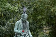 Der ewige Garten – Der Pariser Friedhof Père Lachaise: Eine Fläche von 44 Hektar bietet Wildtieren einen Lebensraum mitten in der Stadt.