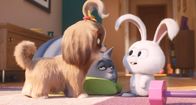 Pets 2 – So, 01.01., 12:10 Uhr