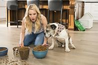 The Good Place – Weiß, dass sie die Ursache ist für die merkwürdigen Vorkommnisse im "Good Place" ist und somit das Leben aller Bewohner aufs Spiel setzt: Eleanor (Kristen Bell) ...