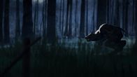 Mythen und Monster – Der Werwolf ist in der Mythologie ein Mensch, der sich in einen Wolf verwandeln kann. In dieser Gestalt verfügt er über besondere Kräfte, oder er ist ein blutrünstiges Monster, das selbst Menschen verspeist.