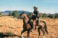 Der Texaner – Farmer Josey Wales (Clint Eastwood) flieht vor den Mördern seiner Familie und schließt sich einer Guerilla-Einheit der Südstaaten an.