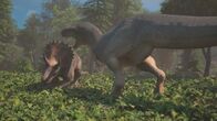 Lost Beasts - Riesen der Urzeit – Triceratops und T-Rex als Erzfeinde sind ein beliebtes Motiv in der Populärkultur. Aber tragen sie tatsächlich tödliche Kämpfe aus?