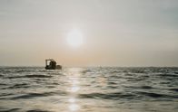 Heimatleuchten – Impressionen vom Zugnetzfischen bei Sonnenaufgang am Neusiedler See.