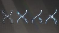 Cracking the Code – Die Wissenschaft hat über die Zeit herausgefunden, dass Gene als Einheiten in jedem Zellkern agieren und diese nur aus vier chemischen Bausteinen bestehen. Die sogenannten Nukleotide oder Basen nennen sich Adenin, Cytosin, Guanin und Thymin. Kurz: A, C, G, T.
