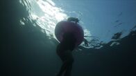 When Sharks Attack - Hai-Alarm – TAMPA, FLA.- Dramatic reconstruction of shark attack on young girl with pink inflatable. (Photo credit: National Geographic Channels/Dane Lawing)