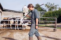 Bloody Milk – Der Milchbauer Pierre (Swann Arlaud) führt den familiären Betrieb mit 30 Kühen allein.