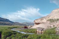 Yellowstone - Park der Extreme – Wo der Yellowstone River seinen ungezähmten Charakter bewahrt hat, hat die wilde Natur überlebt.