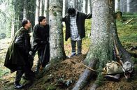 Der Bulle von Tölz – "Der Bulle von Tölz - Treibjagd", Zwei Holzarbeiter finden in der idyllischen Jachenau die Leiche eines Jägers. Die Ermittlungen führen Benno und Sabrina zu Bauunternehmer Rampold. Dieser plant in besagter Au ein exklusives Jagderlebniszentrum. Die meisten Bewohner der Jachenau wollen ihren Grund nicht verkaufen, doch mit Hilfe von Schmiergeldern hat sich Rampold die Mitarbeit von drei Bauern und dem Bürgermeister gesichert. Der Fall gestaltet sich äußerst schwierig, da die Dorfbewohner aus Angst um ihre Existenz nicht besonders kooperativ sind.