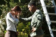 Colony – Colony (2016)