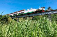 Mit dem Zug ... – Die St. Kitts Scenic Railway überquert die letzte von vier langen Brücken.