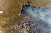 Unsere Kontinente – it der Technik des „Cultural Burning“ der Aboriginal People wird gezielt trockenes Laub und Unterholz verbrannt.