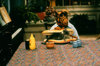 ALF – ALF (1988)