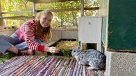 Nina und die Haustiere – Blümchen ist das scheuste Kaninchen der Gruppe. Aber mit ein bisschen Futter schafft Nina es, es anzulocken.