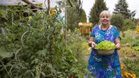 Garten und lecker – In der dritten Folge geht es in den 1.600 Quadratmeter großen Gemeinschaftsgarten Tausendschön nach Minden. Hier gärtnert, werkelt, kocht und imkert Elisabeth Schmelzer ehrenamtlich gemeinsam mit Menschen aus aller Welt – Deutschen und Migranten. Seit 2015 sät und pflanzt die ehemalige Betriebswirtin dort eine bunte Vielfalt an Gemüse und Obst und kümmert sich tatkräftig um Nachhaltigkeit und Umweltschutz.