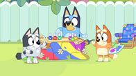 Bluey – Fr, 18.09., 06:55 Uhr