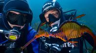 Checker Tobi und das Geheimnis unseres Planeten – Uli Kunz und Tobi beim Tauchen in Tasmanien.