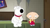 Family Guy – Family Guy (2013)