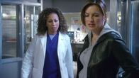 Law & Order: Special Victims Unit – Law & Order: Special Victims Unit (2009)