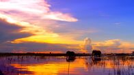 Expeditionen: Mittendrin - Botswana – Elefanten.