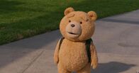 Ted – Ted