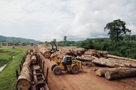 NZZ Format – NZZ Format Tropenholz fürs Klima – wie ein afrikanischer Petrostaat den Regenwald retten möchte Abtransport der Baumstämme
