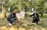Tobis Städtetrip (HR) – Tobias Kämmerer mit Ziegenbock Theo und Tierärztin Dr. Bianca Reith im Heimattiergarten Fulda.