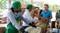 Unsere Geschichte – Der Hamburger Bananenimporteur Mike Port beim Bananeneinkauf in Peru. Weitere Fotos erhalten Sie auf Anfrage.