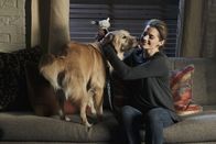 Castle – Kate Beckett (Stana Katic) hat den Retriever "Royal" sofort ins Herz geschlossen ...