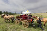 Wilde Wege – Die Xeni Gwet'in starten zur traditionellen Kutschfahrt auf dem Highway.