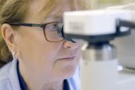 Spurensuche - Neue Methoden der Forensik – In einem Teelöffel Erde leben mehr Organismen als Menschen auf dem Planeten. Lorna Dawson untersucht verschiedene Bodenproben auf Ähnlichkeit.
