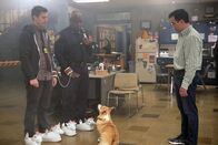 Brooklyn Nine-Nine – Brooklyn Nine-Nine (2020)