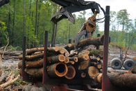 Holzfäller extrem – Extrait