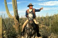 El Dorado – Der gealterte Scharfschütze Cole Thornton (John Wayne) kommt nach El Dorado.