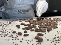 P.M. Wissen – Maître Chocolatier Aiga Müller vom Schokoladenmuseum Köln in Deutschland. Für P.M. Wissen kostet sie die Urschokolade, wie sie vor über 5000 Jahren zubereitet wurde: mit zerriebenen Kernen der Kakao-Bohne.