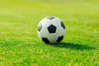 Fußball: ÖFB-Cup – Stockfotografie Fußball auf Rasen