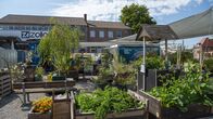 Garten und lecker – Auf „Inselgrün“, dem Gemeinschaftsgartenprojekt in Stuttgart, wachsen Pflanzen in mobilen Beeten, in Einkaufswagen und alten Badewannen. Gegärtnert wird auf dem Außengelände der Kulturstiftung Stuttgart: Alle sind willkommen und Vielfalt ist erwünscht.