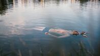 Lovecut – Lässt sich gerne vom Leben treiben: Ben (Max Kuess) im Coming-of-Age-Film „Lovecut".