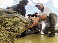 Expedition Wild – Sa, 19.10., 00:10 Uhr