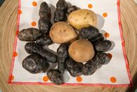 Schmatzo – Kartoffeln.