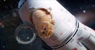Checker Tobi und das Geheimnis unseres Planeten – Bärtierchen in der Rakete.